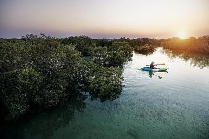 الطقس في قطر مايو 2026: دليل شامل للزوار والمقيمين