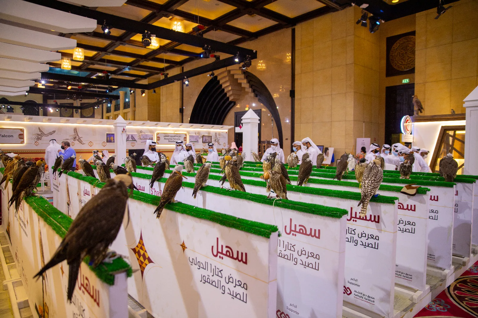 انطلاق معرض "سهيل 2023"