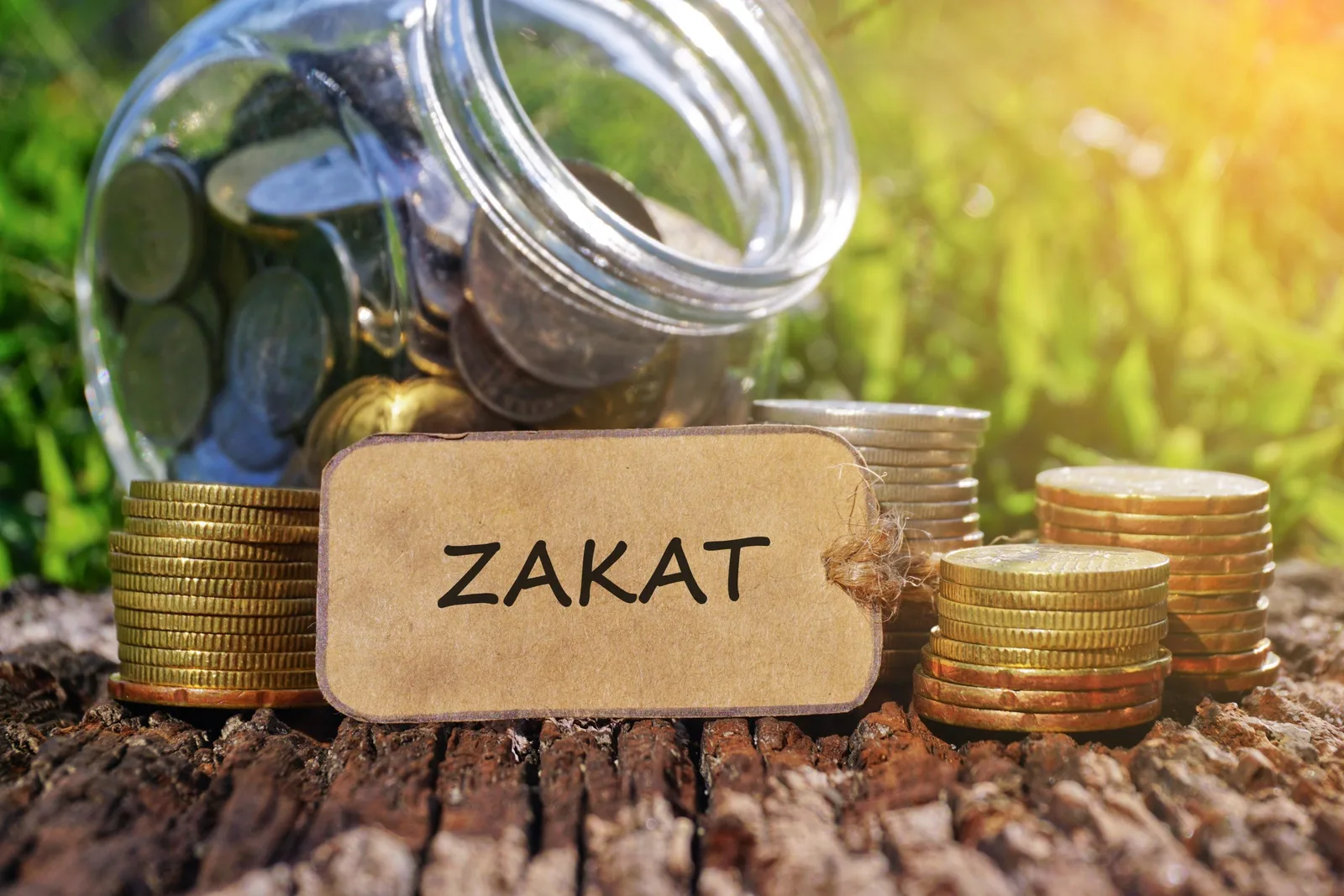 كيفية التسجيل في صندوق زكاة قطر