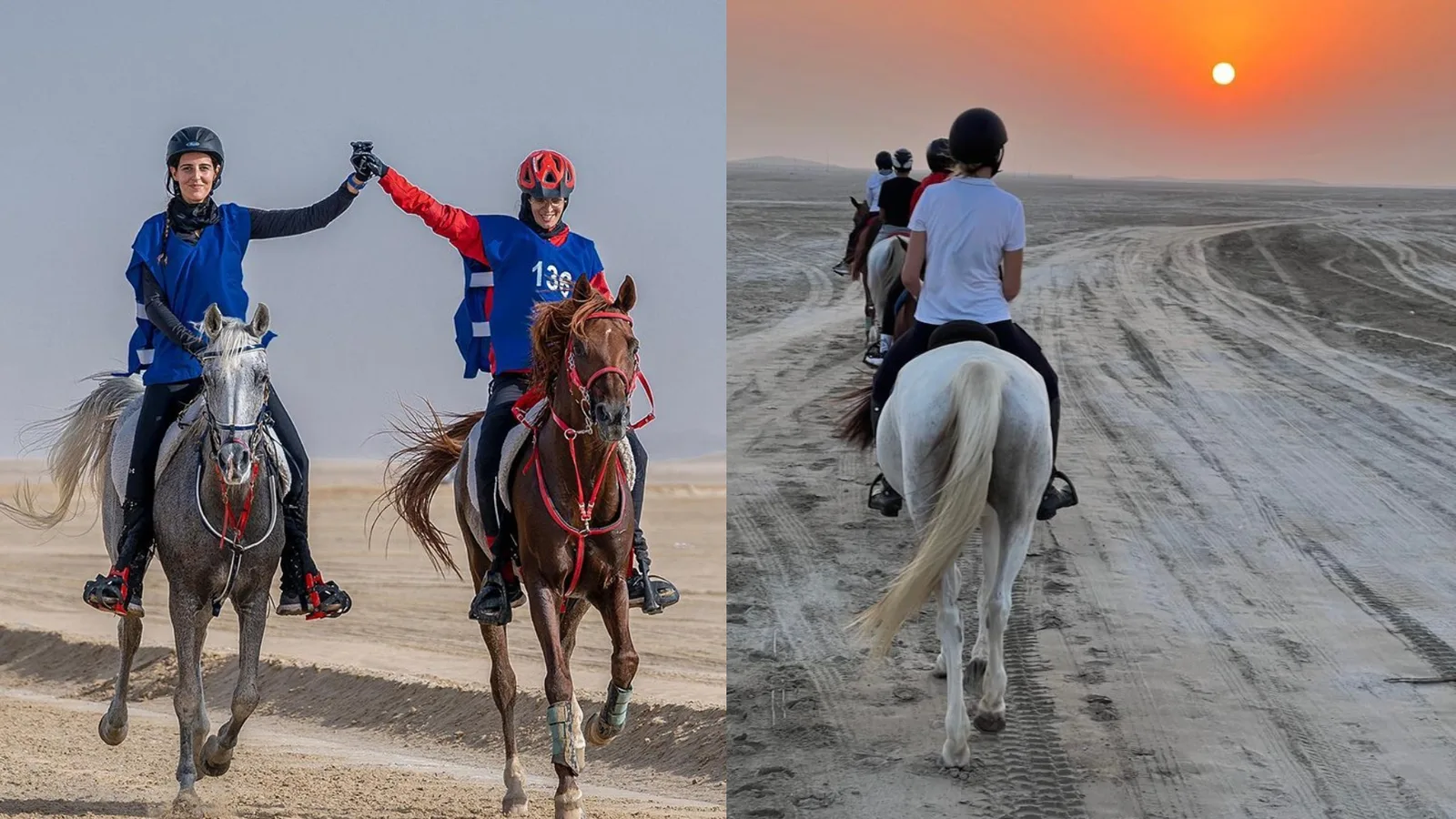 أفضل أماكن ركوب الخيل في قطر