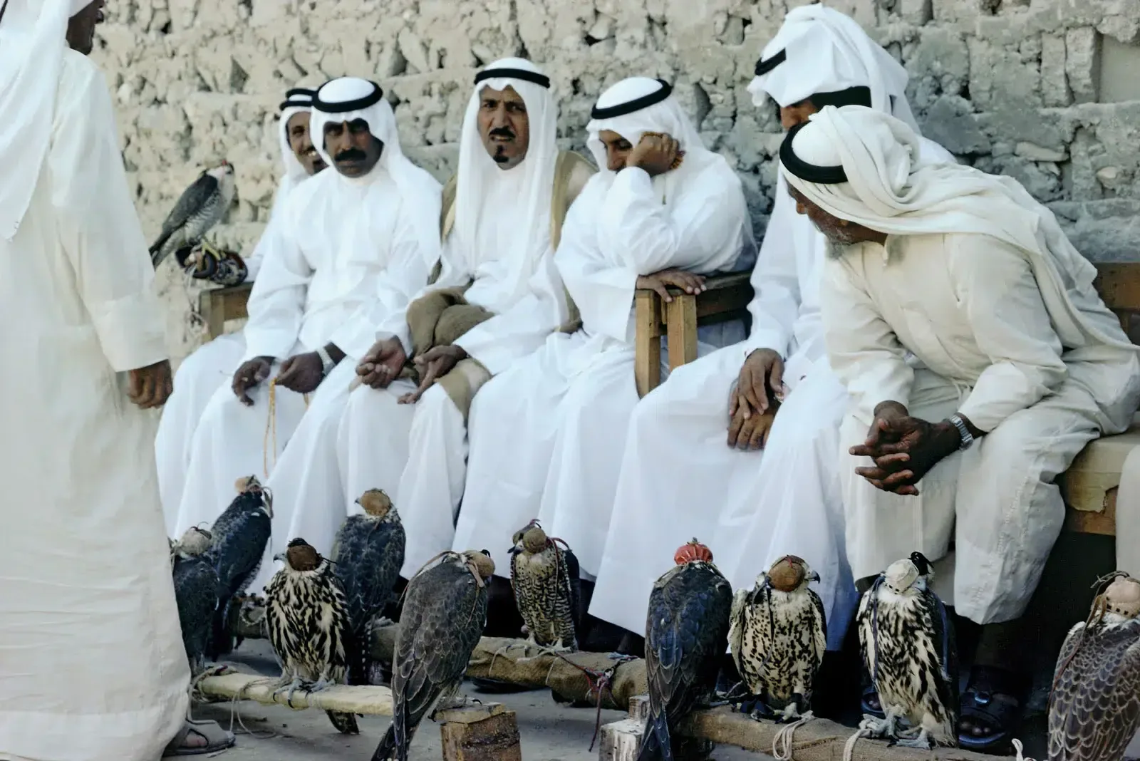 اشهر 10 شخصيات في قطر