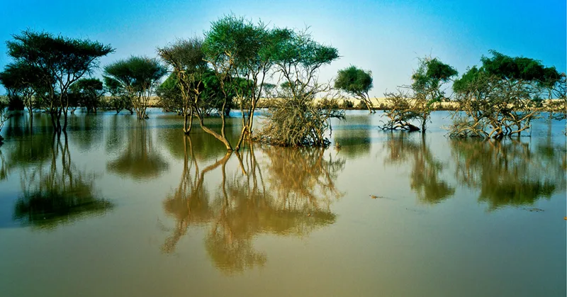 أماكن طبيعية في قطر لا تعرفها