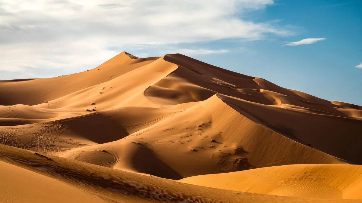 أهم الأنشطة الصحراوية والجوية للعائلات في قطر