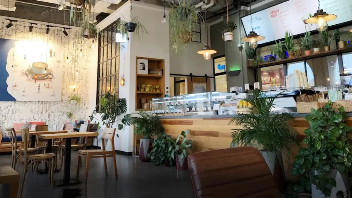 أفضل 5 مقاهي في قطر