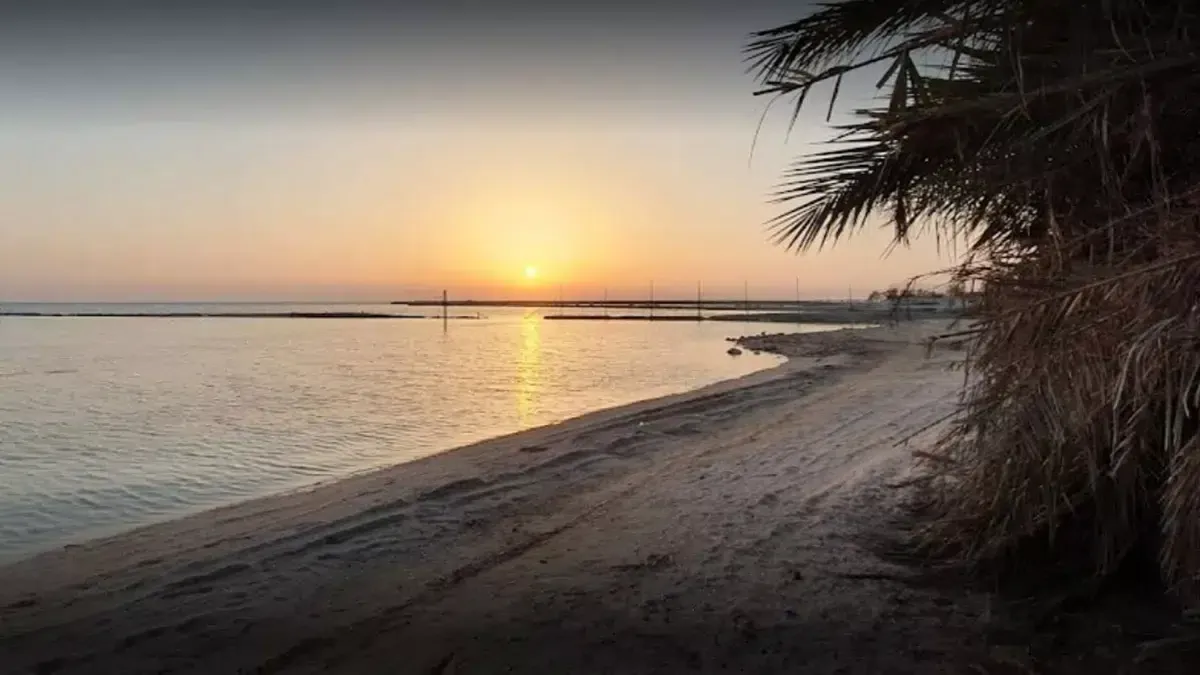 أفضل الشواطئ العامة في قطر