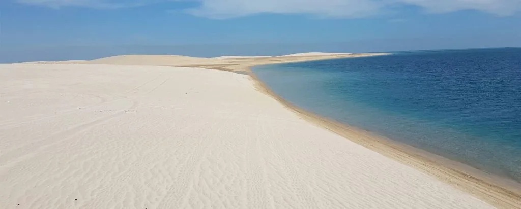 استكشاف الصحراء