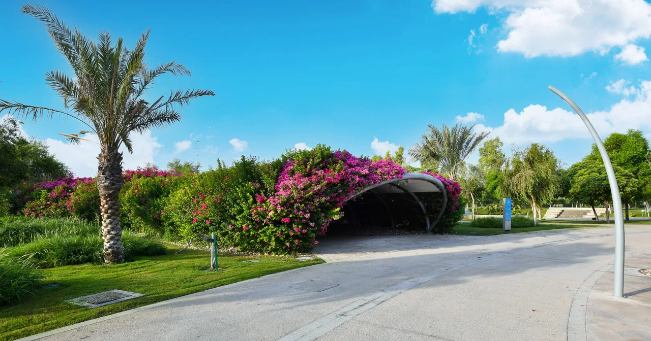 أفضل الحدائق العامة في قطر لعام 2024