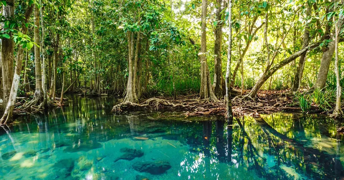أماكن غير معروفة في قطر تستحق الزيارة