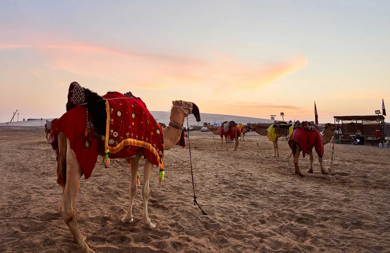 أفضل الوجهات لمحبي المغامرات في قطر