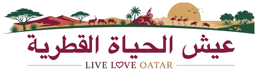 عيش الحياة القطرية