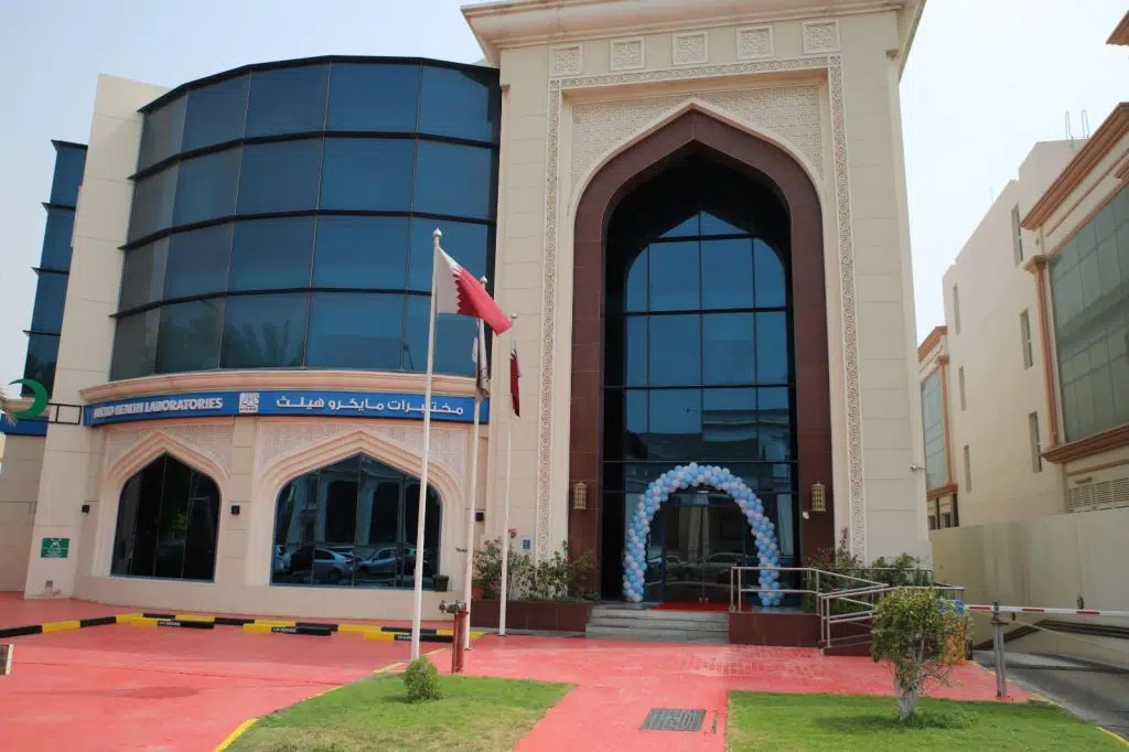 291979515 5289515617806300 7743767651198748615 n