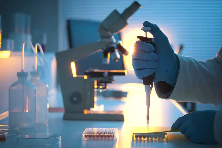 istock 000018306324 mediumoptimized