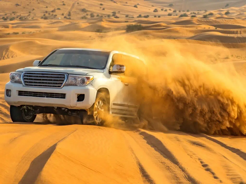 desert safari 1024x768 1