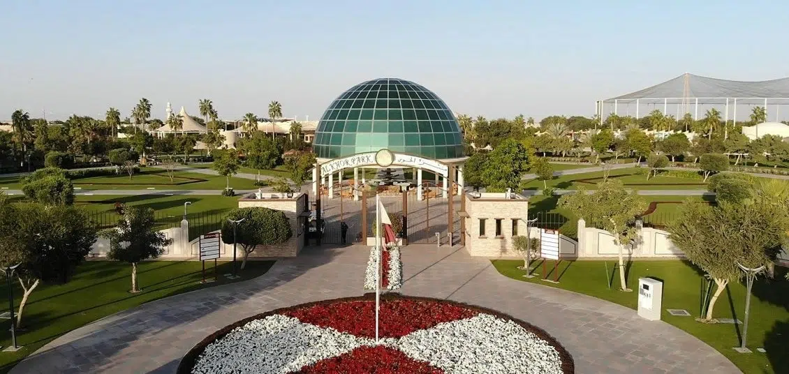 20221116 1668606496 547