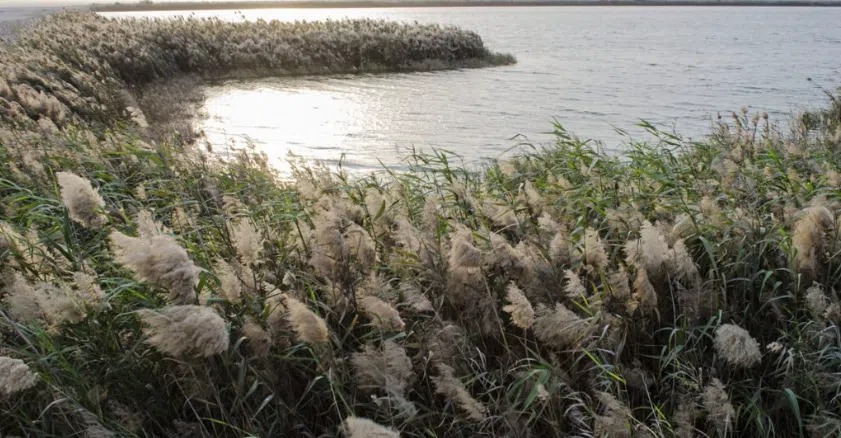 Screenshot 2024 01 21 103125