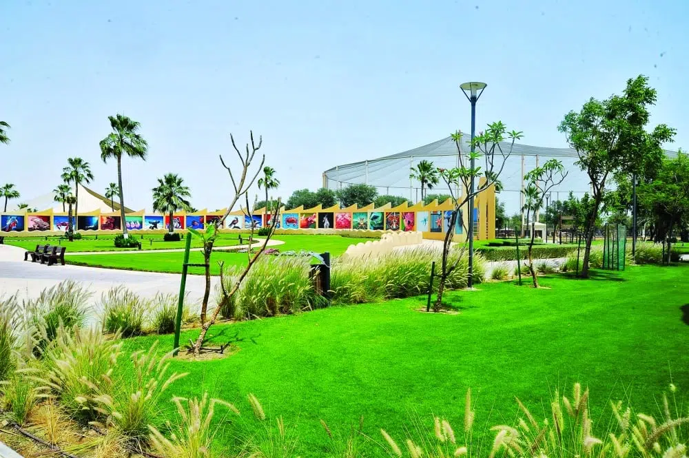 20181123 1543002194 718996