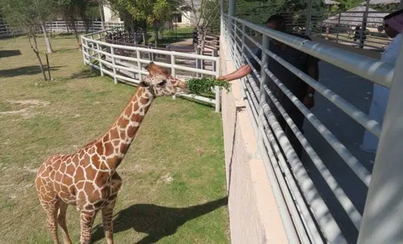 20200216 1581867802 605