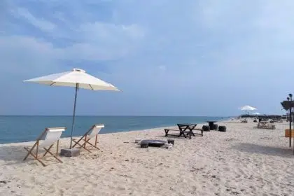 20211215 1639567654 133