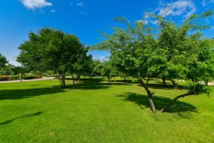 Al Bidda Park Greeneries by CURVE 38 of 104 scaled 1 1024x683 1