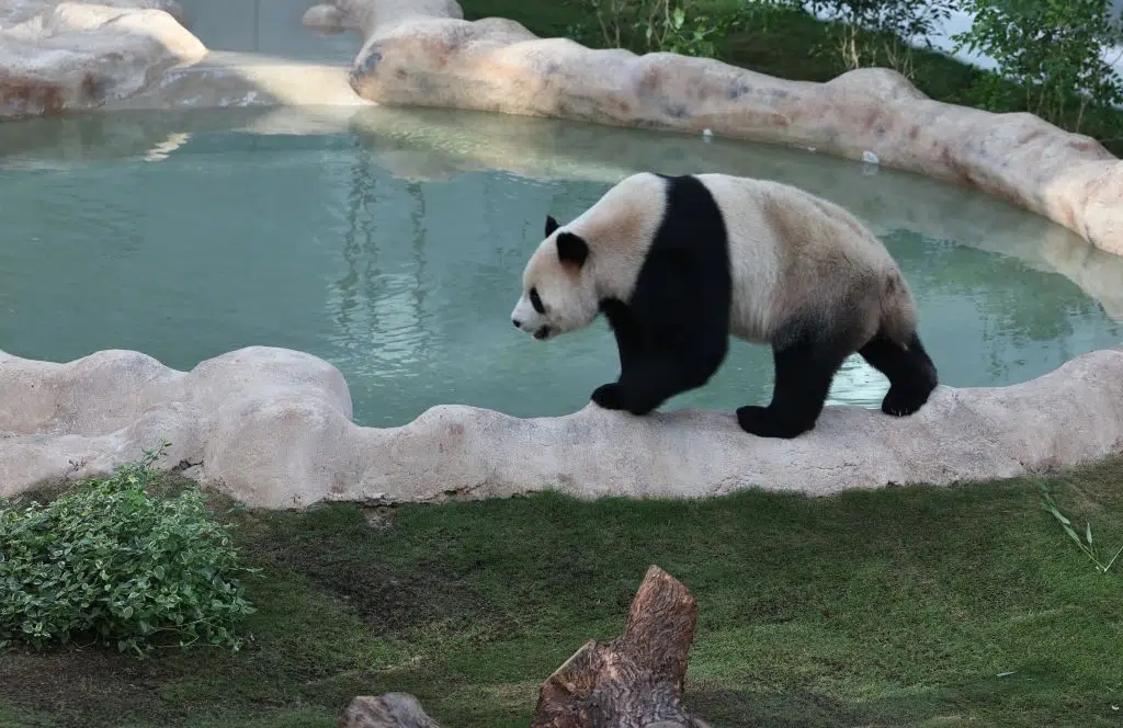 GettyImages 1442749881