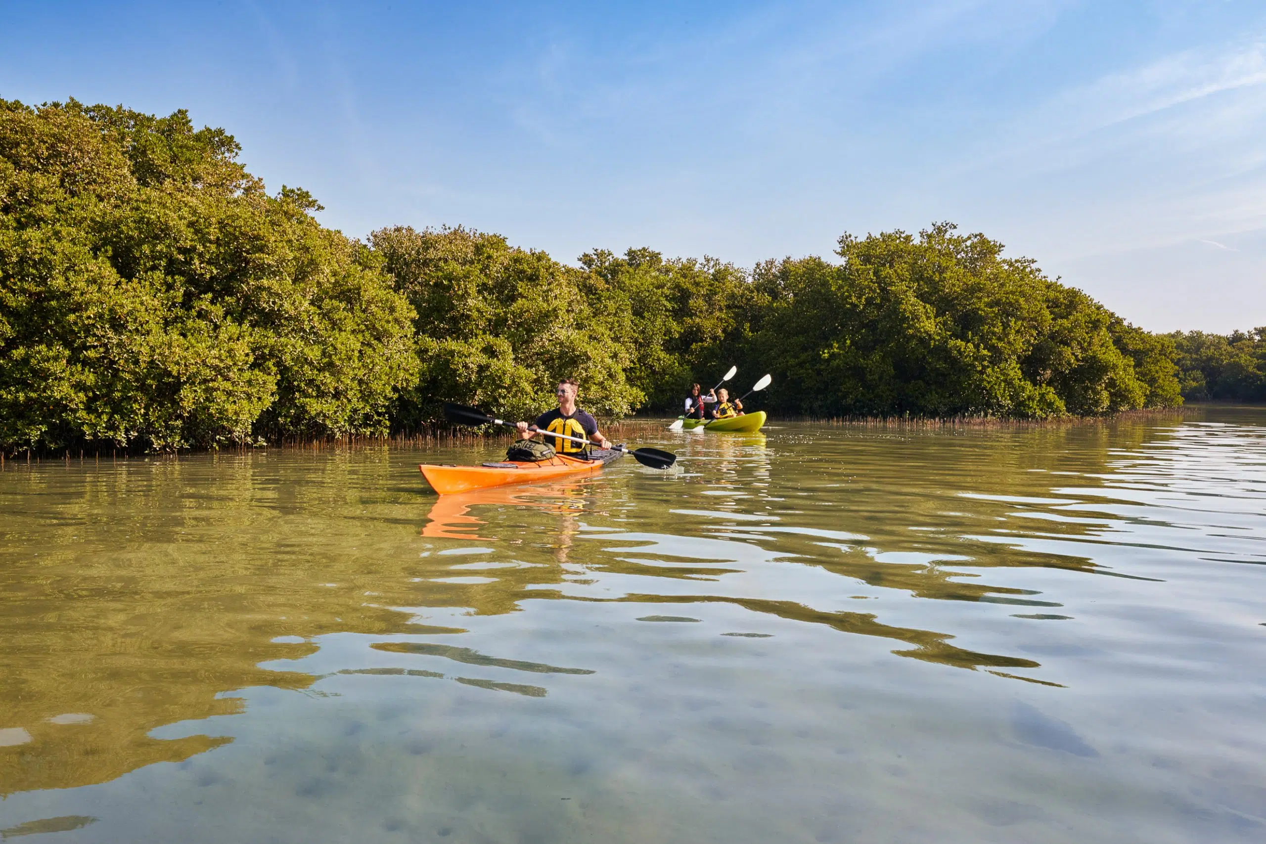 Purple Island Mangroves 7 scaled