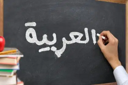 Arabic language courses