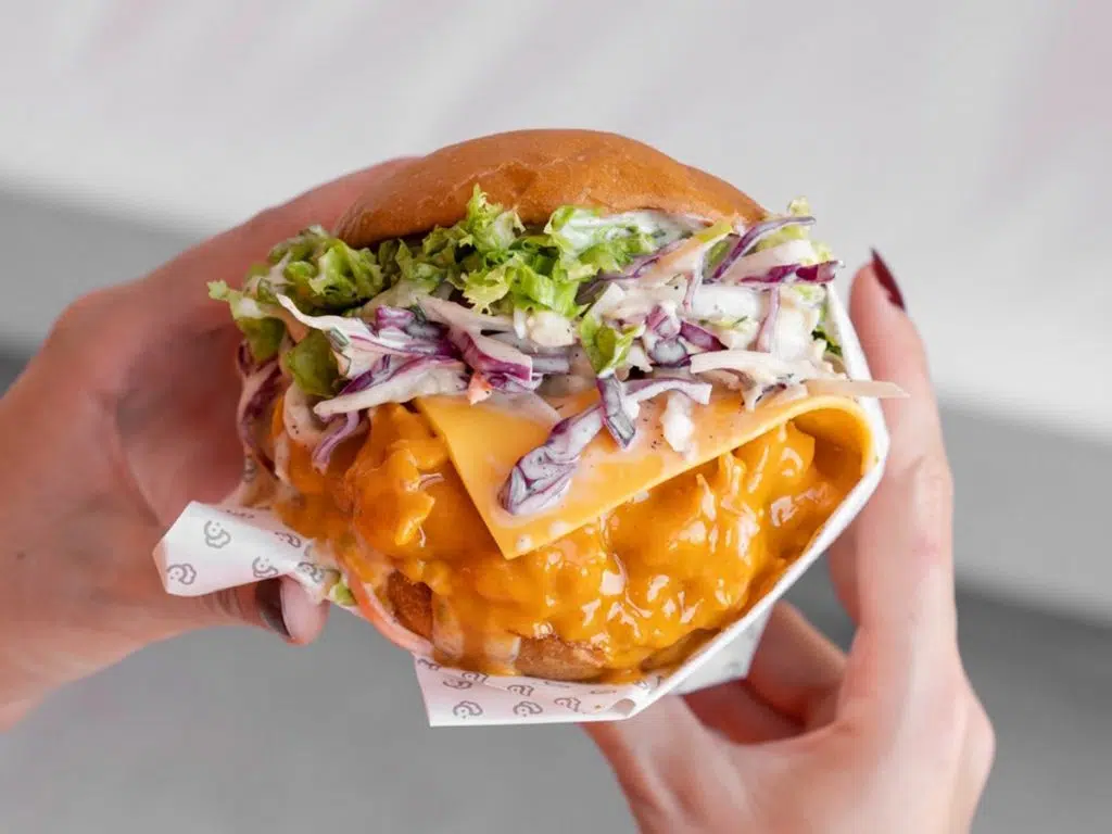 Chkn burger 1024x768 1