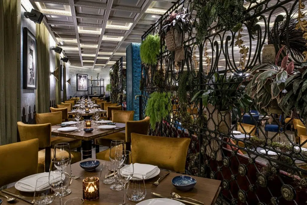 Qatar Fine Dining Coya Ambiance