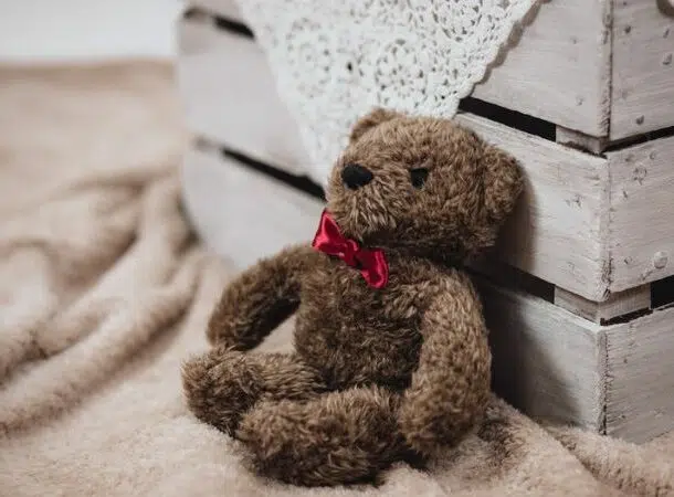Teddy Bear 610x450 1