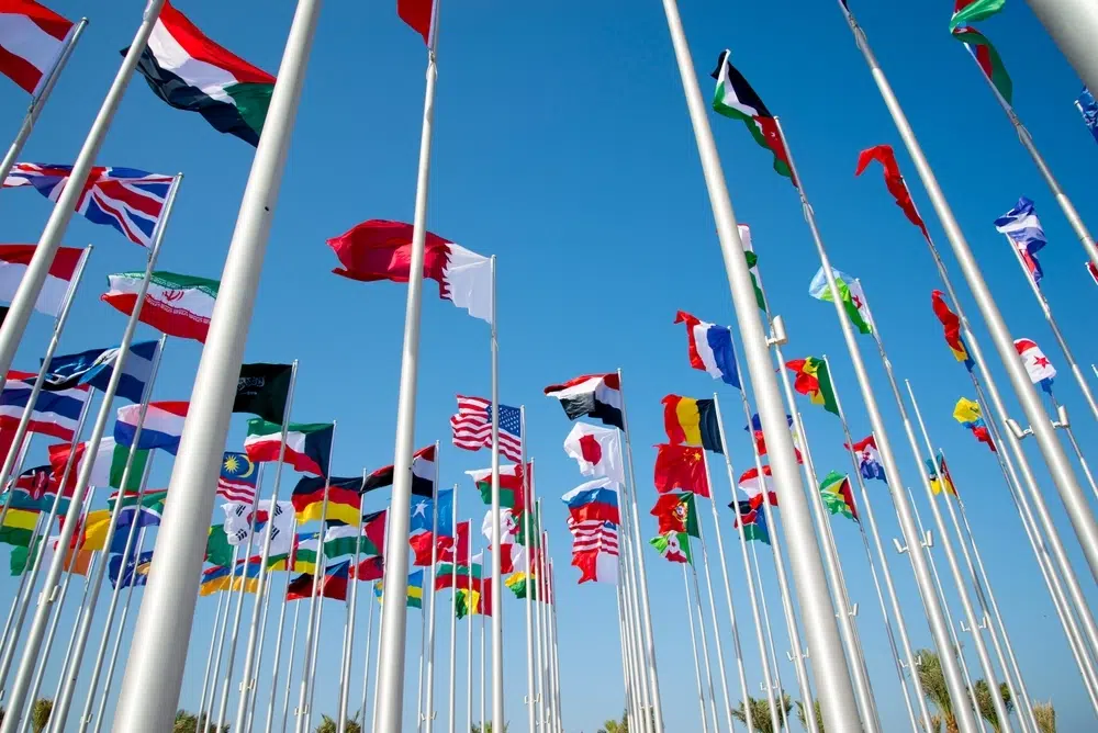 flag shutterstock 2225983769