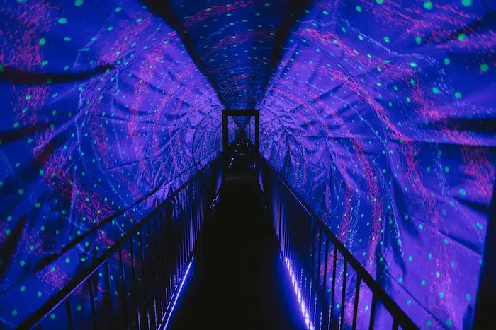 museum of illusions 13 copy