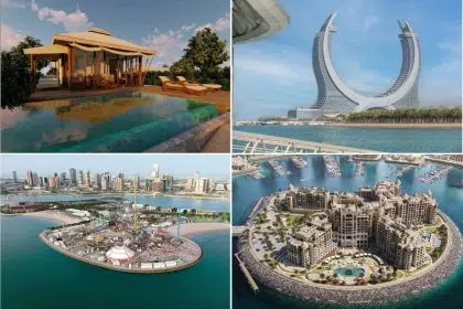 qatar world cup