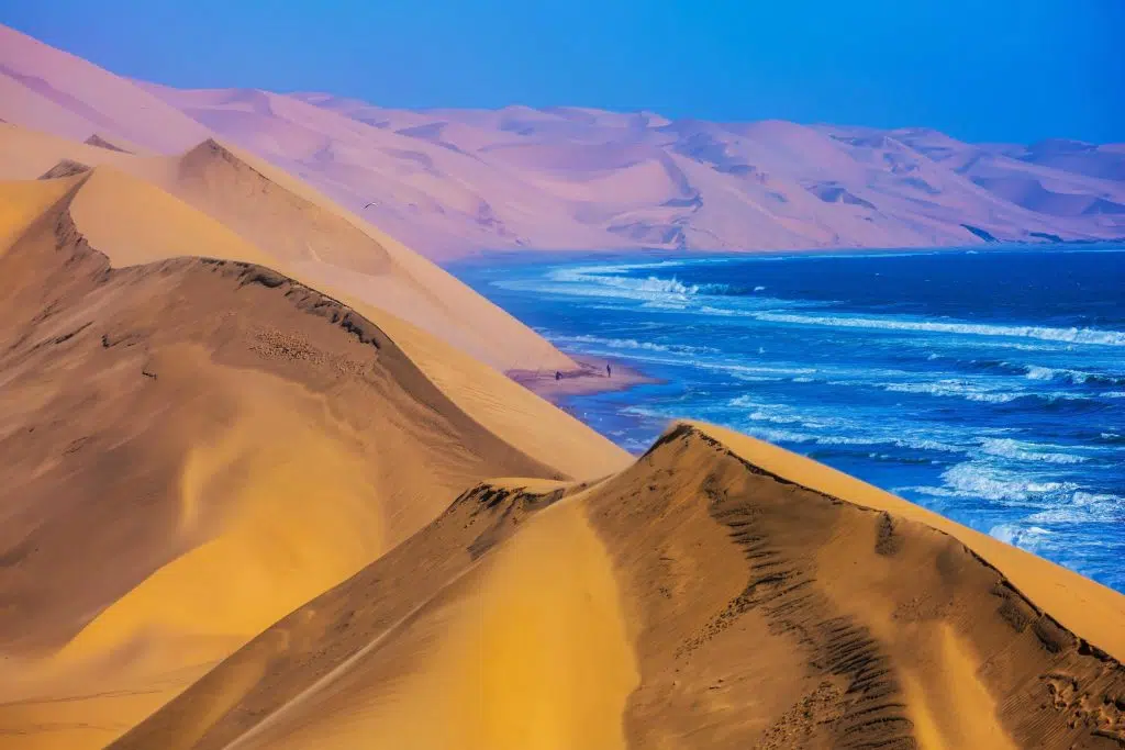Namibia Desert Sea