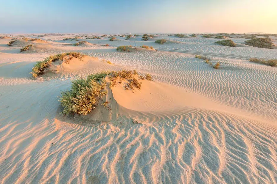 Screenshot 2024 04 28 131843