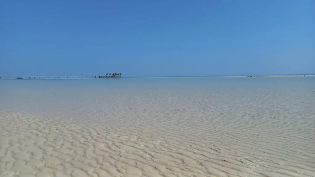 1 4 oiCrBttJvojko2yVQdsQ 1