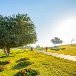 481997 Doha And Vicinity