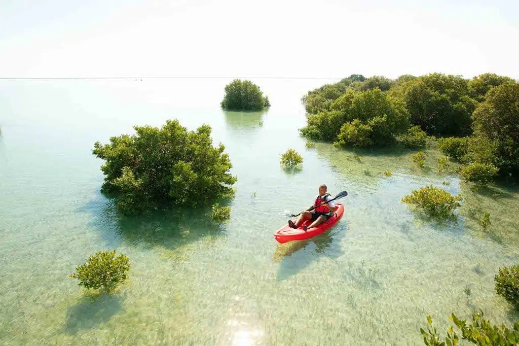 kayaking al thakira mangroves visit qatar 1