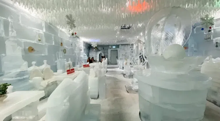 Screenshot 2024 06 23 125750