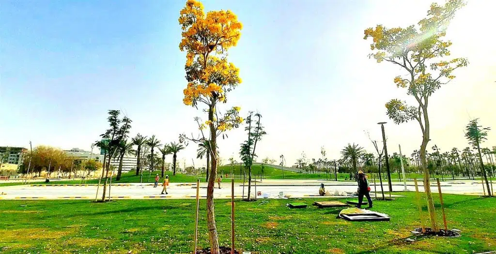 23268b1b 97e0 433d 9fd6 435250792083