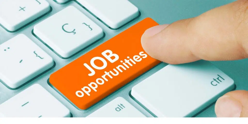 employment job opportunities canberra