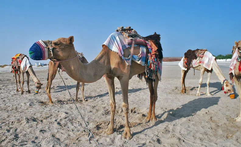 Screenshot 2024 08 05 120423