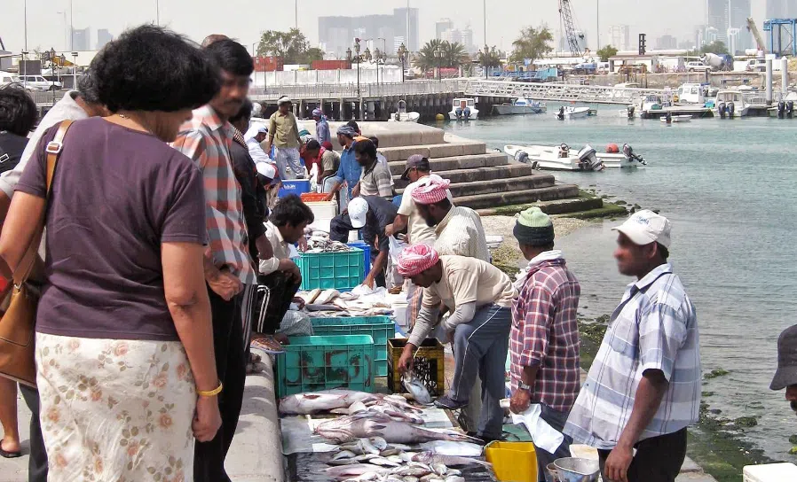 Screenshot 2024 08 19 155927