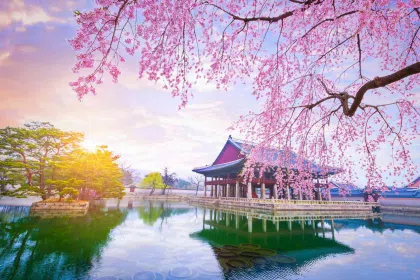 Screenshot 2024 12 23 123956