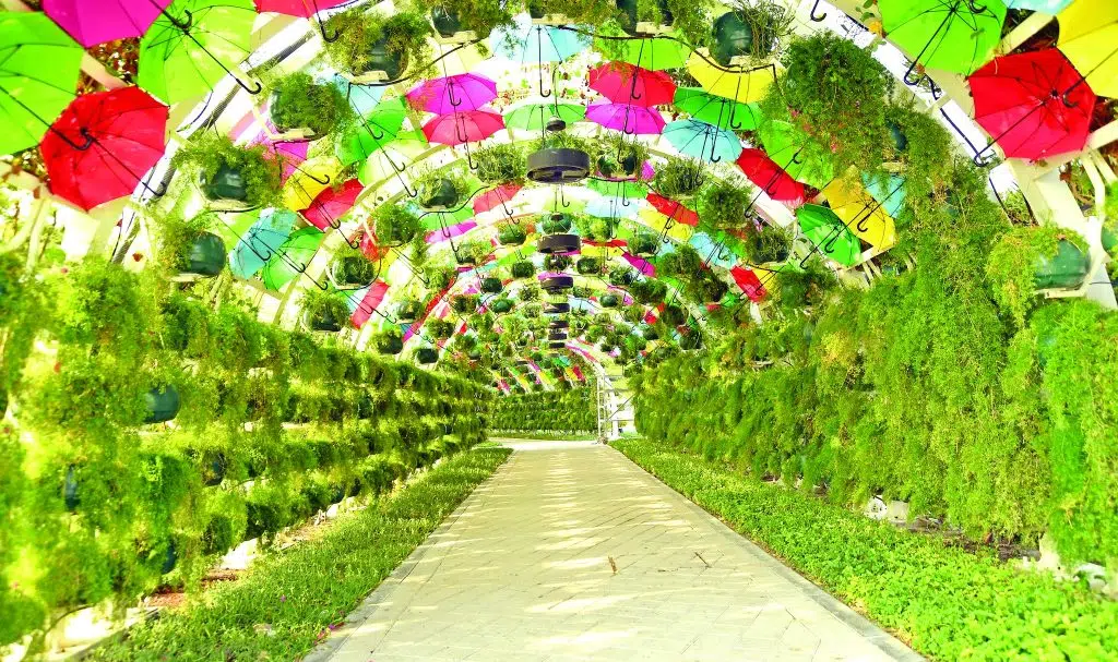 حديقة الوكرة العامة