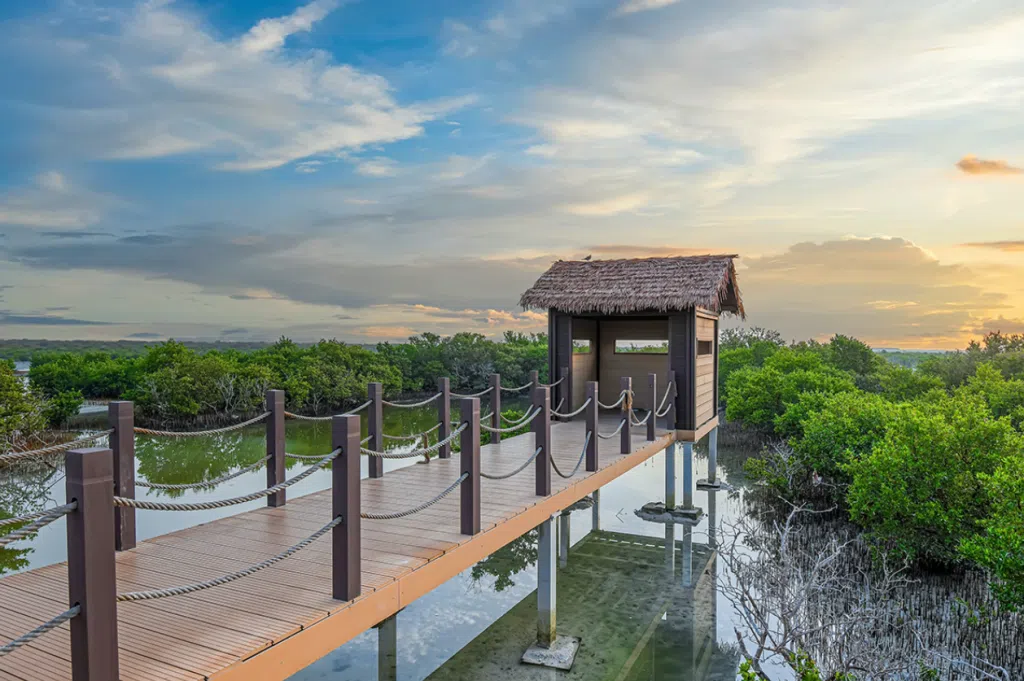 Screenshot 2025 02 19 133120