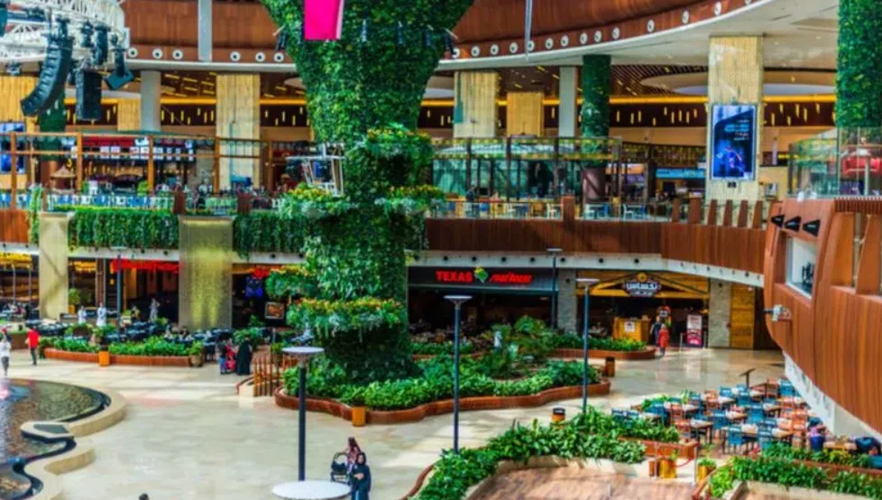 Screenshot 2025 02 27 153929