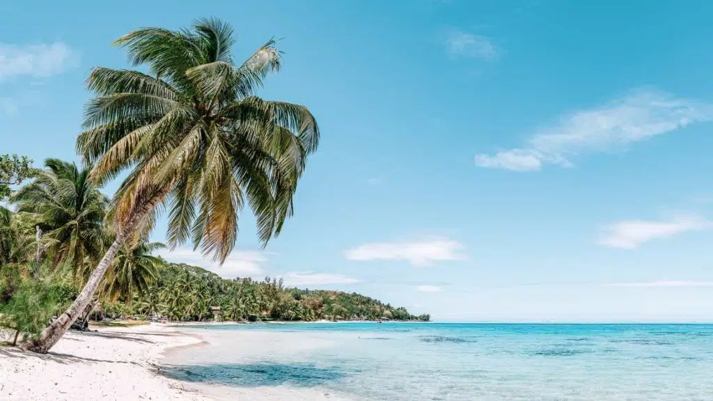 Beautiful Beaches in The World To Visit in Your Lifetime Bora Bora French Polynesia eyetronic AdobeStock 597815307 2 1