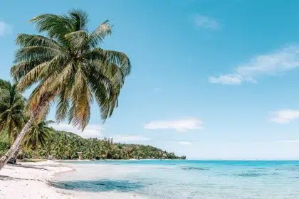 شواطئ في قطر