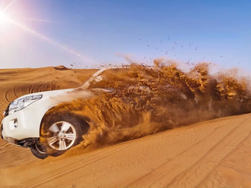 DUNE BASHING