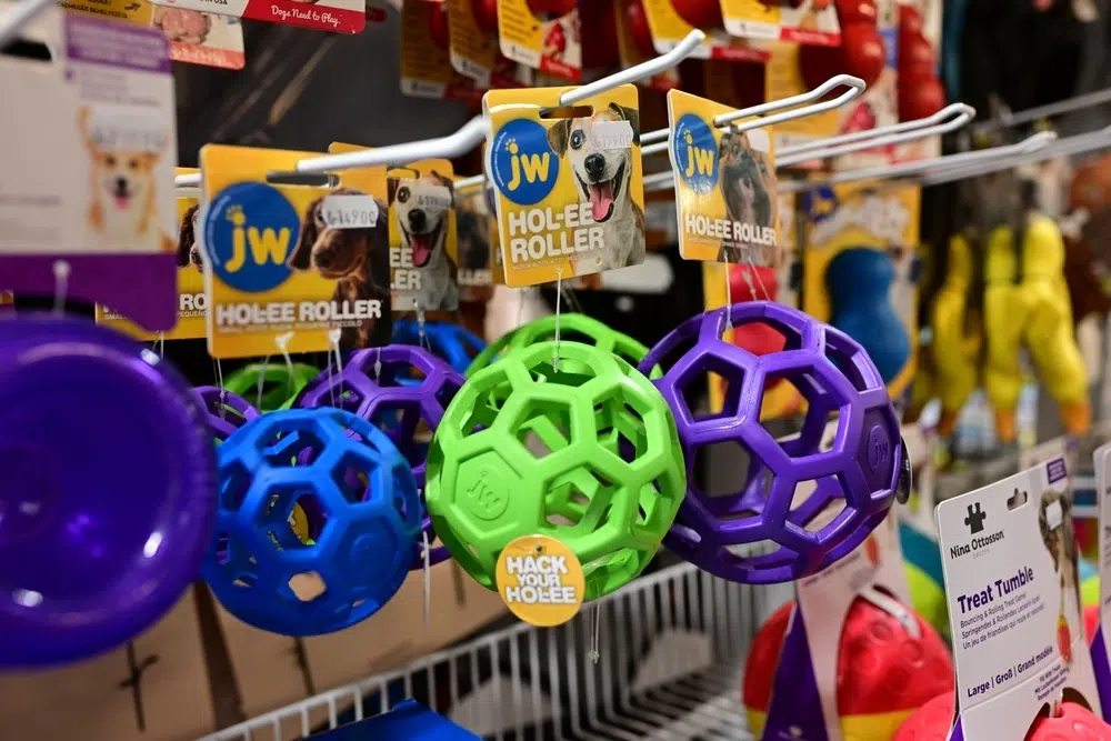 dollar plus pet supplies shutterstock